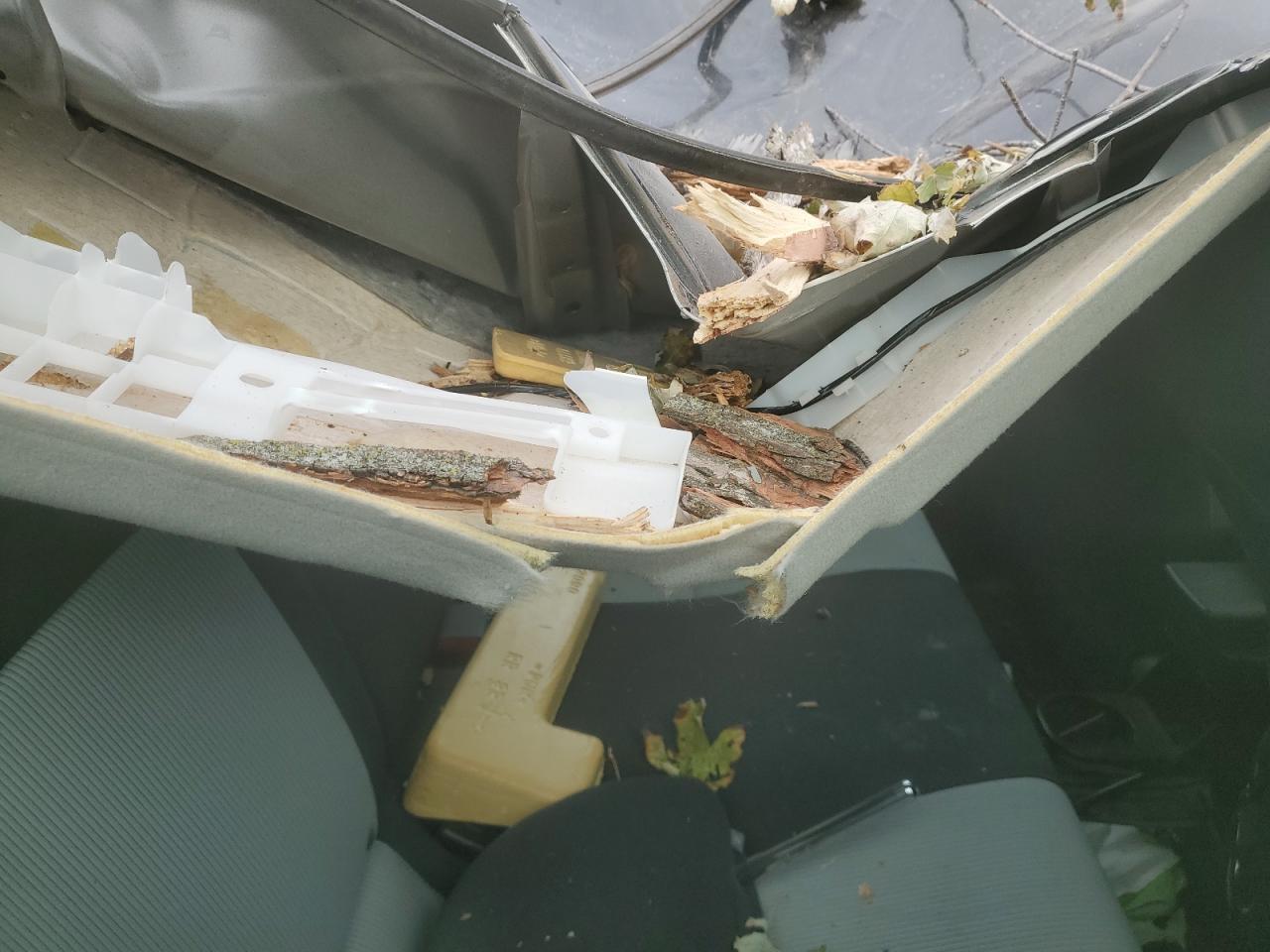 2014 Toyota Prius - Image 10