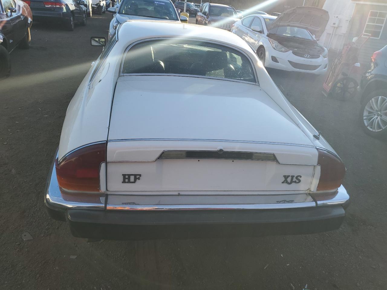 1982 Jaguar Xjs VIN: SAJNV584XCC106410 Lot: 81876144