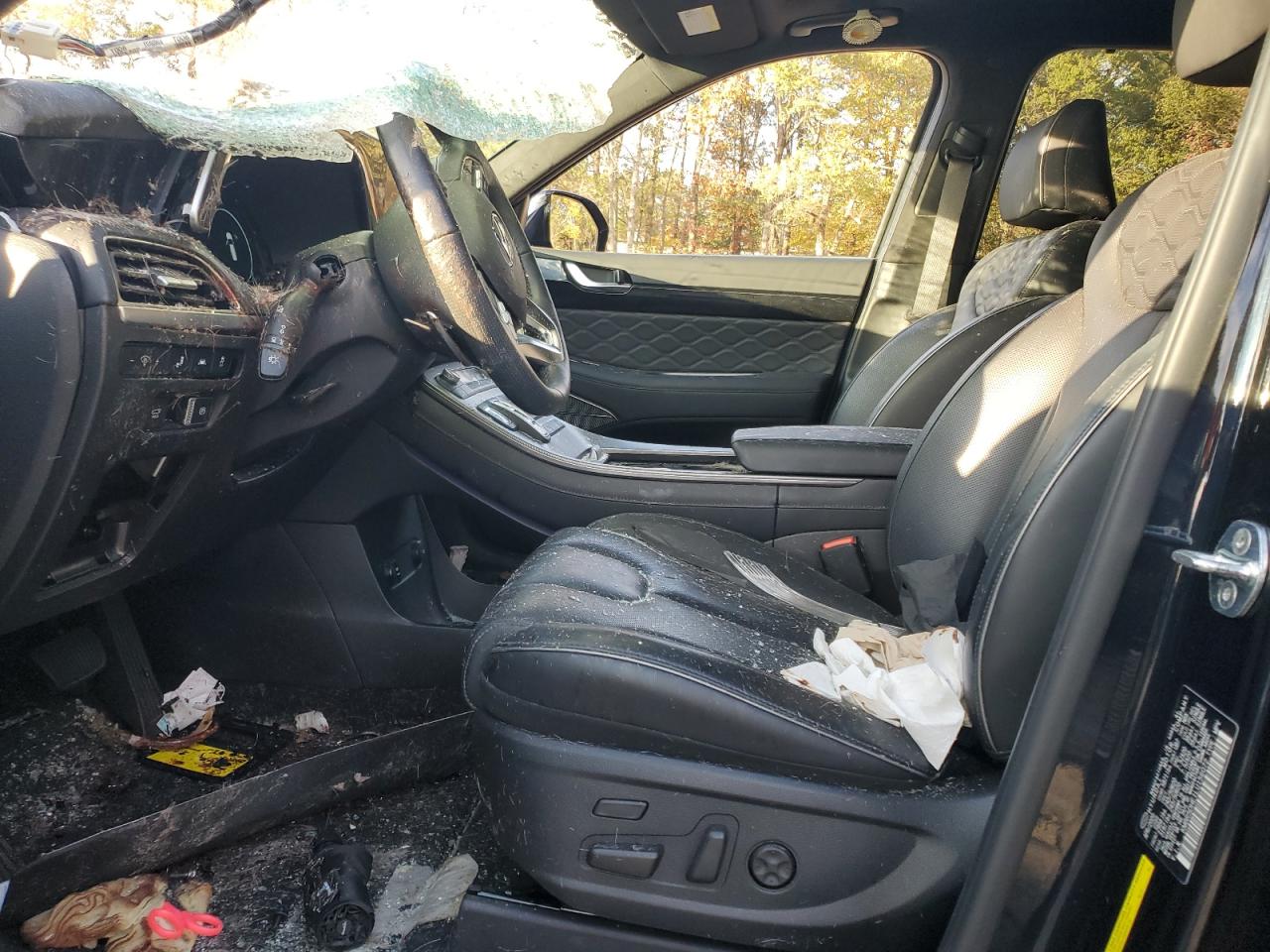 2020 Hyundai Palisade Limited VIN: KM8R5DHE1LU156072 Lot: 51890825