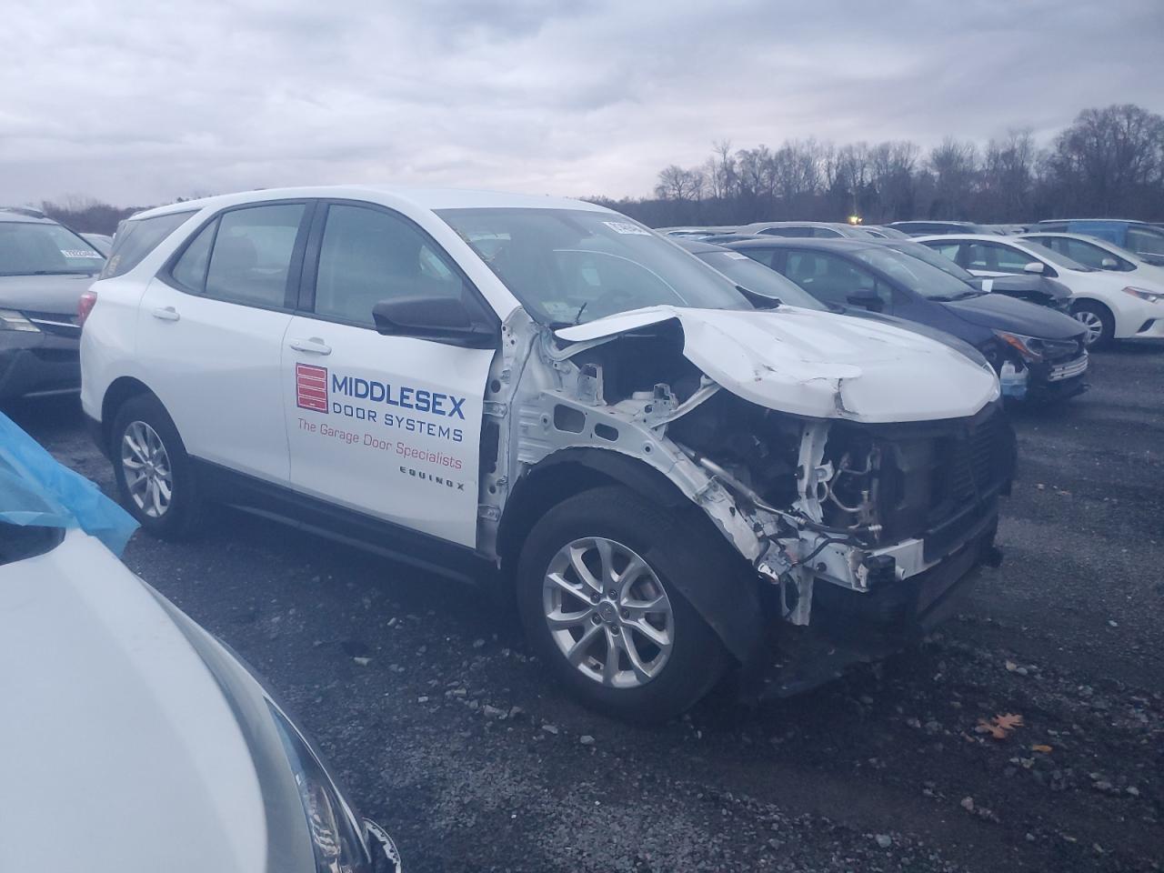 2019 Chevrolet Equinox Ls VIN: 2GNAXHEV4K6100994 Lot: 81469494