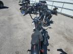 2019 HARLEY-DAVIDSON FLSL  for sale at Copart SC - NORTH CHARLESTON