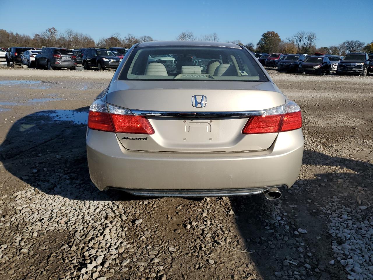 2013 Honda Accord Lx VIN: 1HGCR2F33DA101342 Lot: 79896214