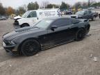 2013 Ford Mustang Gt for Sale in Madisonville, TN - Rear End