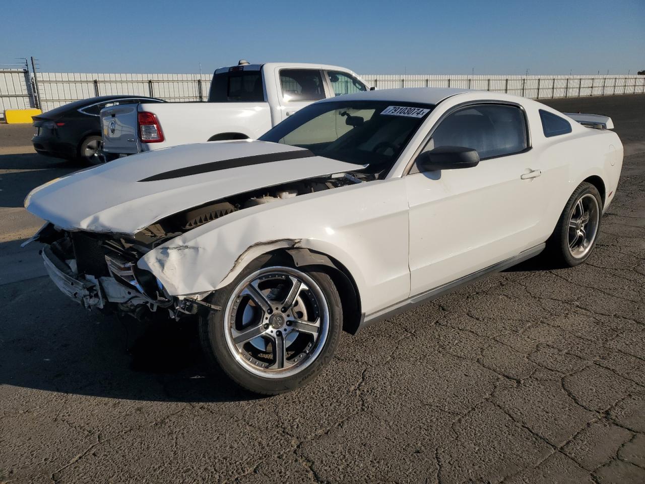 2010 Ford Mustang VIN: 1ZVBP8AN4A5176841 Lot: 79103074