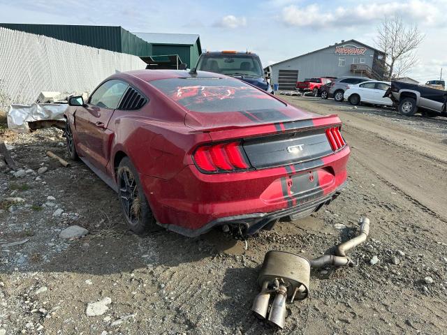  FORD MUSTANG 2020 Червоний