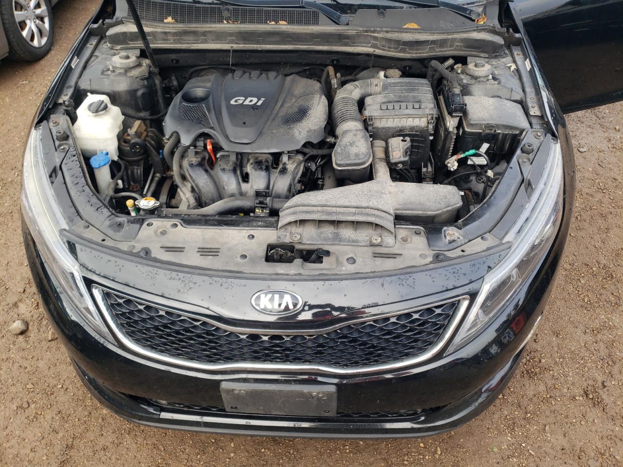 2015 Kia Optima Lx VIN: 5XXGM4A71FG429547 Lot: 81970604