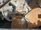 1989 Honda Civic Lx for Sale in Opa Locka, FL - Water/Flood