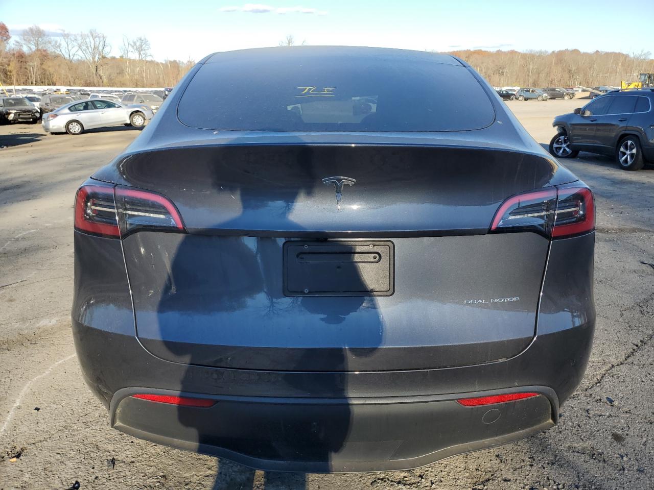 2023 Tesla Model Y VIN: 7SAYGDEEXPF887602 Lot: 79509404