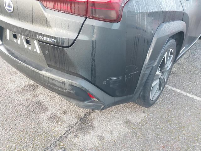2019 LEXUS UX 250H 4X