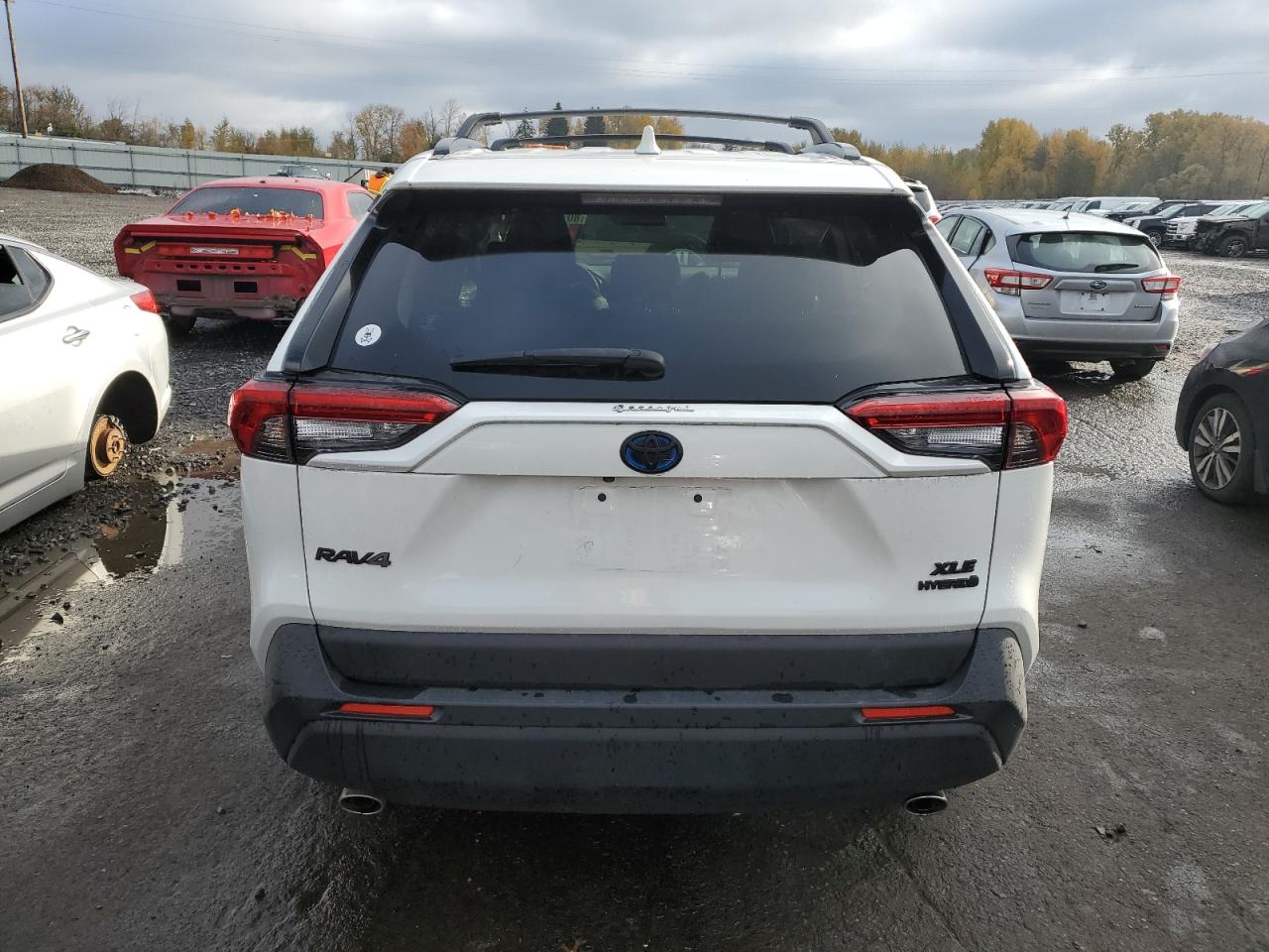 2022 Toyota Rav4 Xle Premium VIN: JTMB6RFV9ND529574 Lot: 80773664