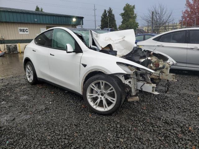  TESLA MODEL Y 2021 White