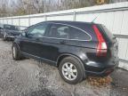 2008 Honda Cr-V Exl للبيع في Bridgeton، MO - Front End