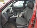 2009 Ford Escape Xlt იყიდება Walton-ში, KY - Front End