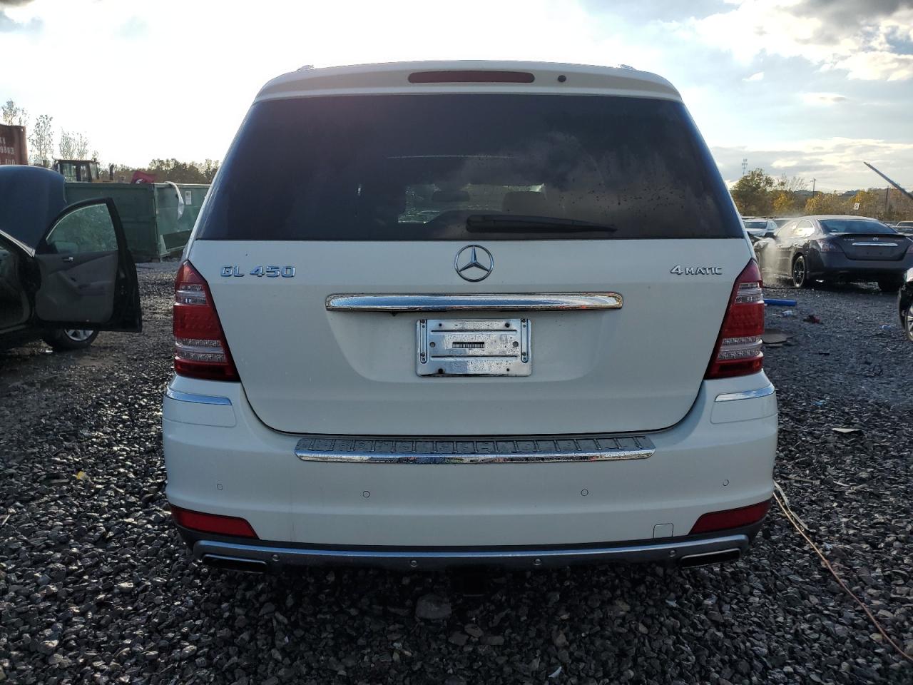 2010 Mercedes-Benz Gl 450 4Matic VIN: 4JGBF7BE0AA585145 Lot: 79556964