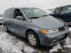 2002 Honda Odyssey Ex na sprzedaż w Littleton, CO - Hail