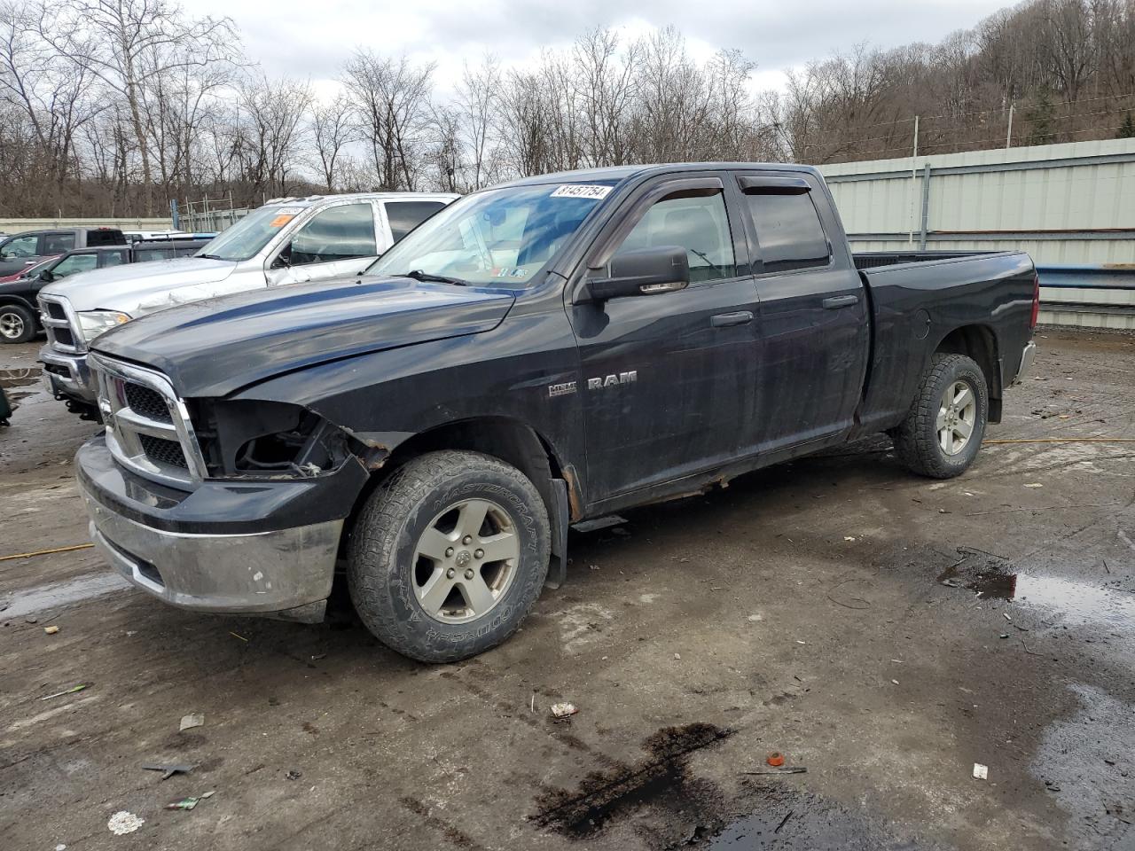 2009 Dodge Ram 1500 VIN: 1D3HV18T69S724079 Lot: 81457754