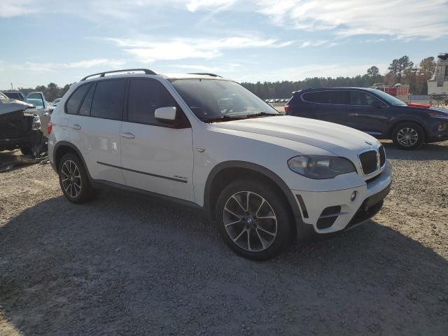 Паркетники BMW X5 2013 Белый