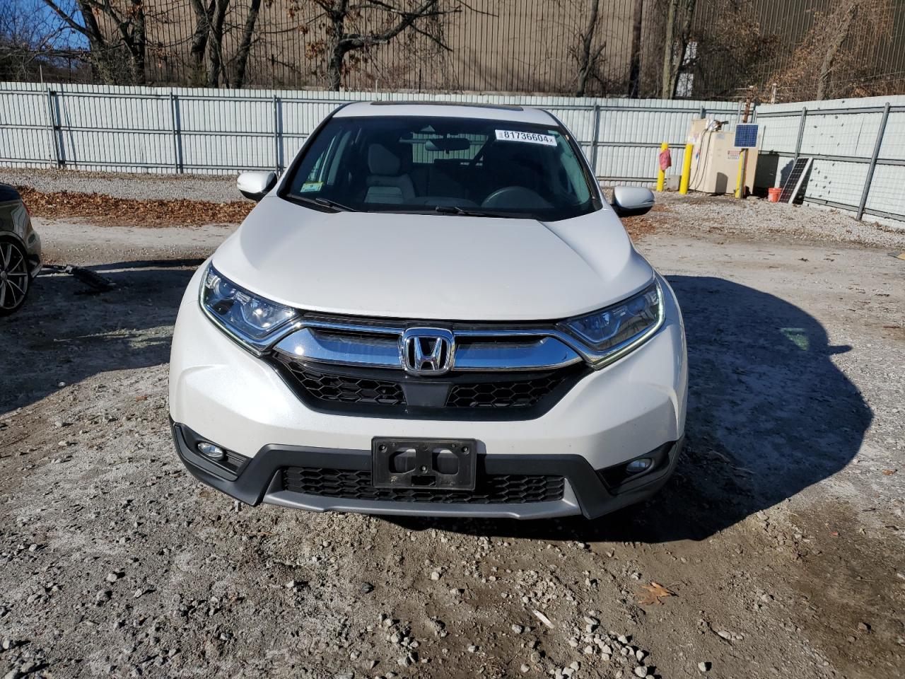 VIN 2HKRW2H56KH638681 2019 HONDA CRV no.5