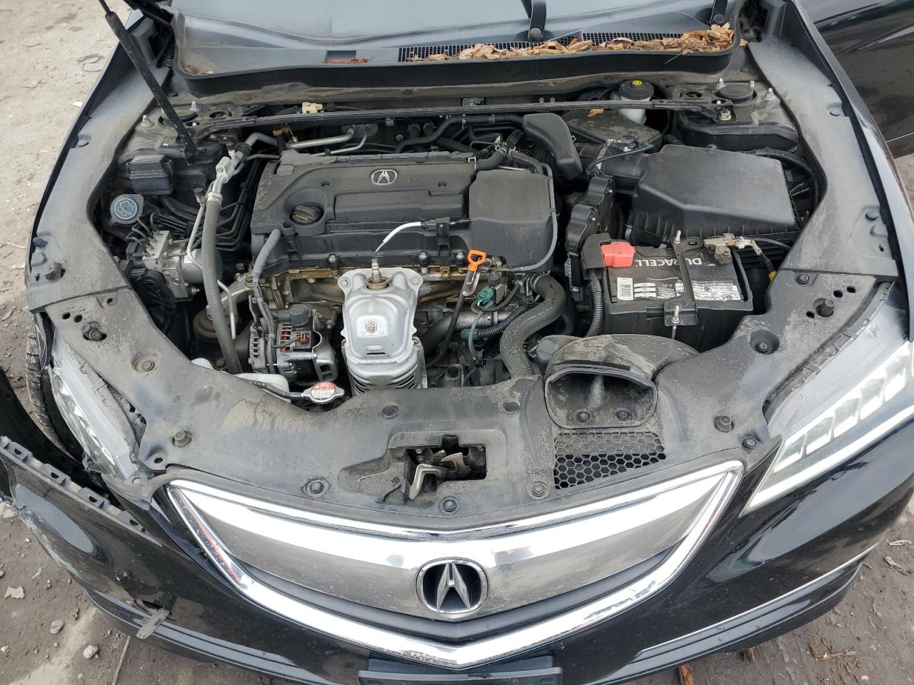2016 Acura TLX - Image 12