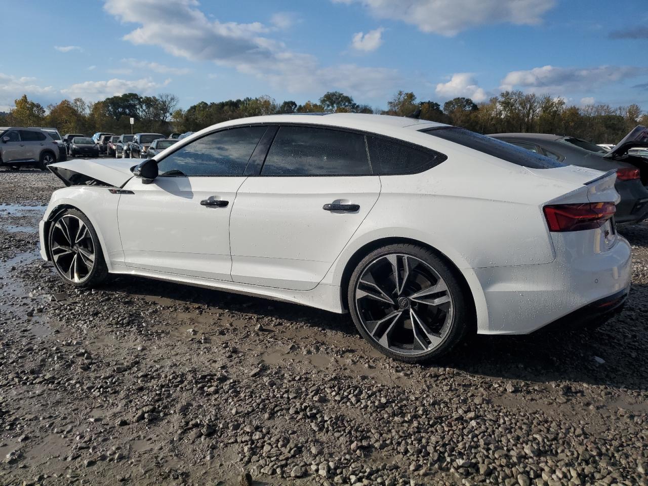 2024 Audi RS5 - Image 2