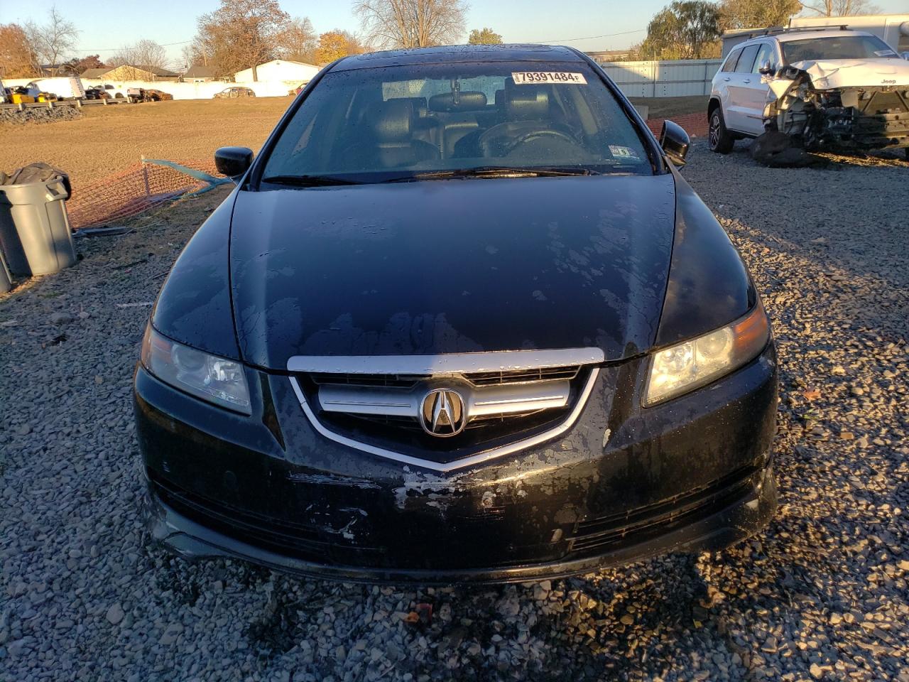 2006 Acura 3.2Tl VIN: 19UUA66266A001300 Lot: 79391484