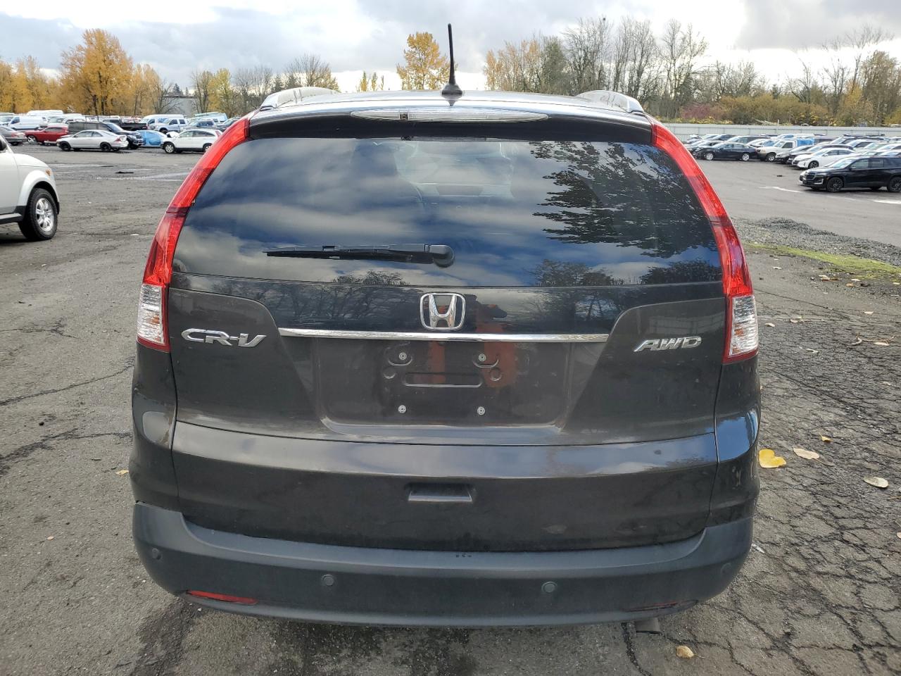 2013 Honda Cr-V Exl VIN: 5J6RM4H71DL020387 Lot: 80894294