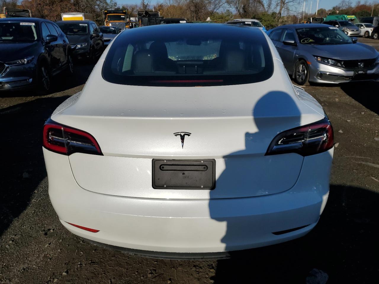 2023 Tesla Model 3 VIN: 5YJ3E1EA3PF450677 Lot: 80214904