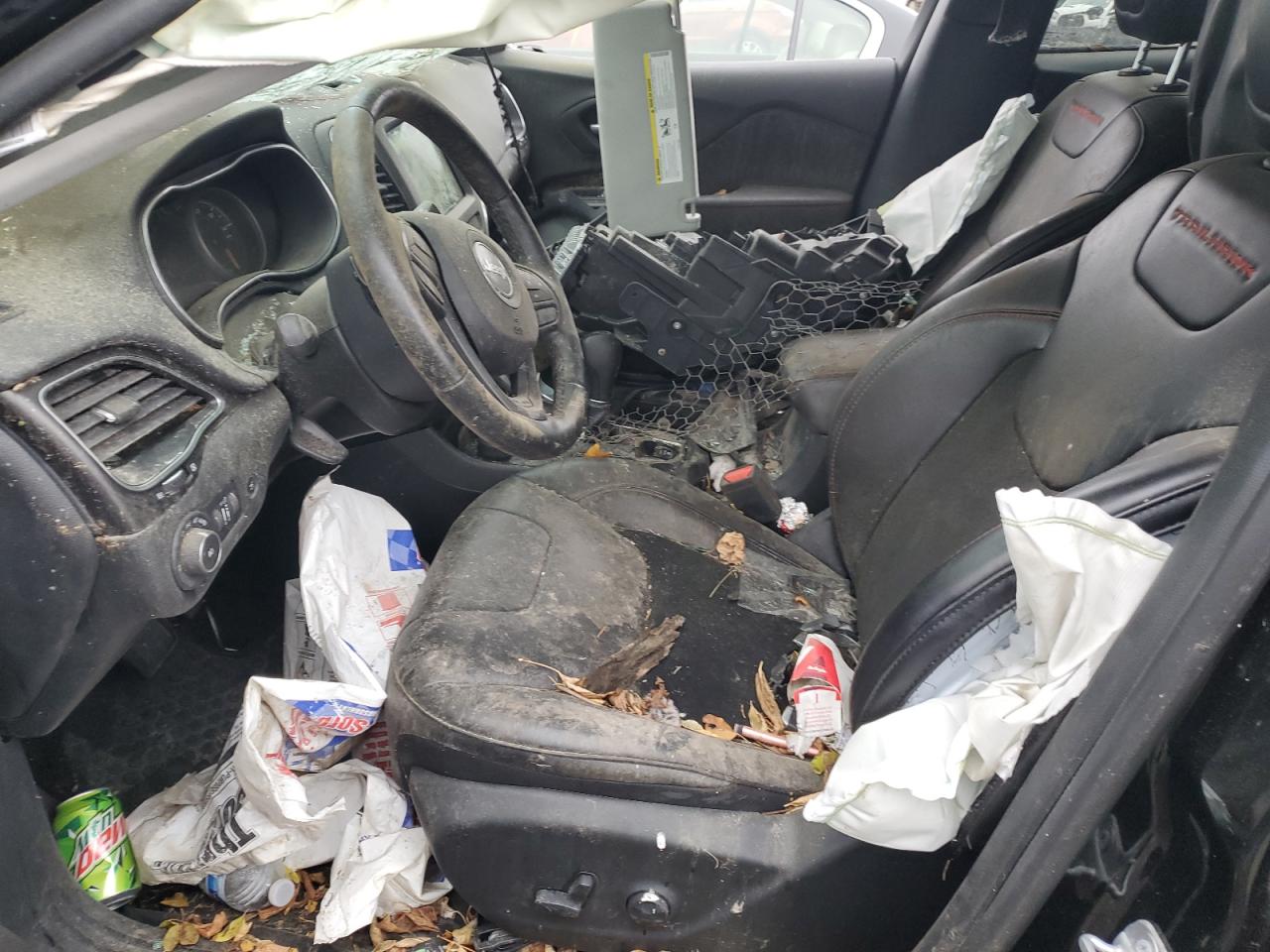 2019 Jeep Cherokee Trailhawk VIN: 1C4PJMBX8KD256105 Lot: 58562575