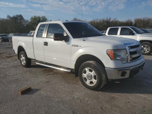 Pickups FORD F-150 2014 Biały