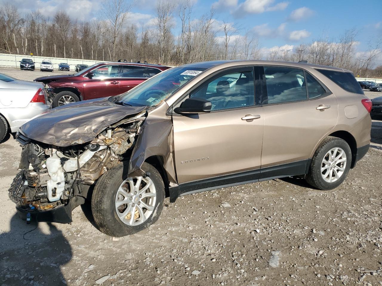 2019 Chevrolet Equinox Ls VIN: 2GNAXSEV0K6206713 Lot: 80918564