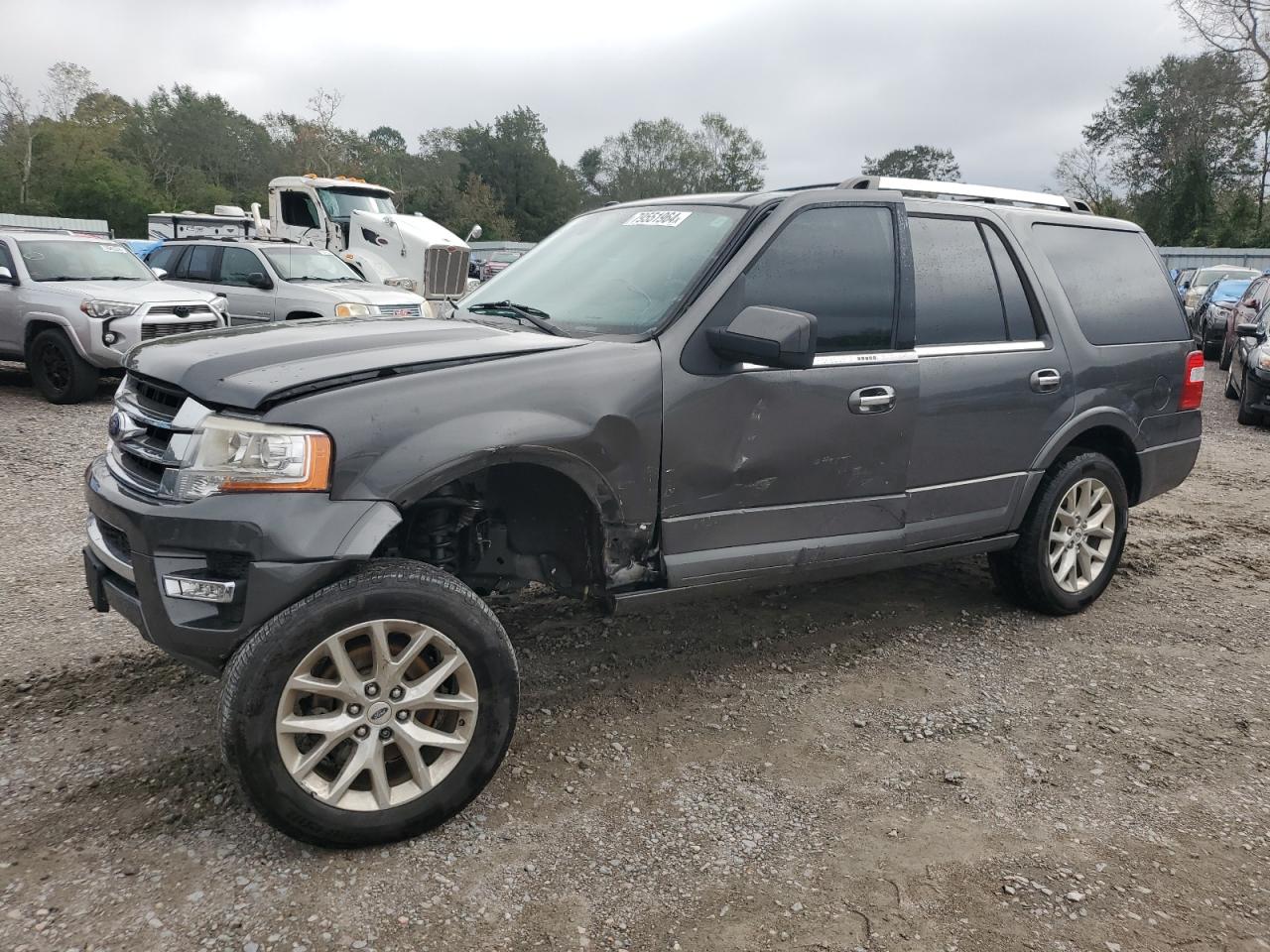 2017 Ford Expedition Limited for Sale in Savannah, GA - Side