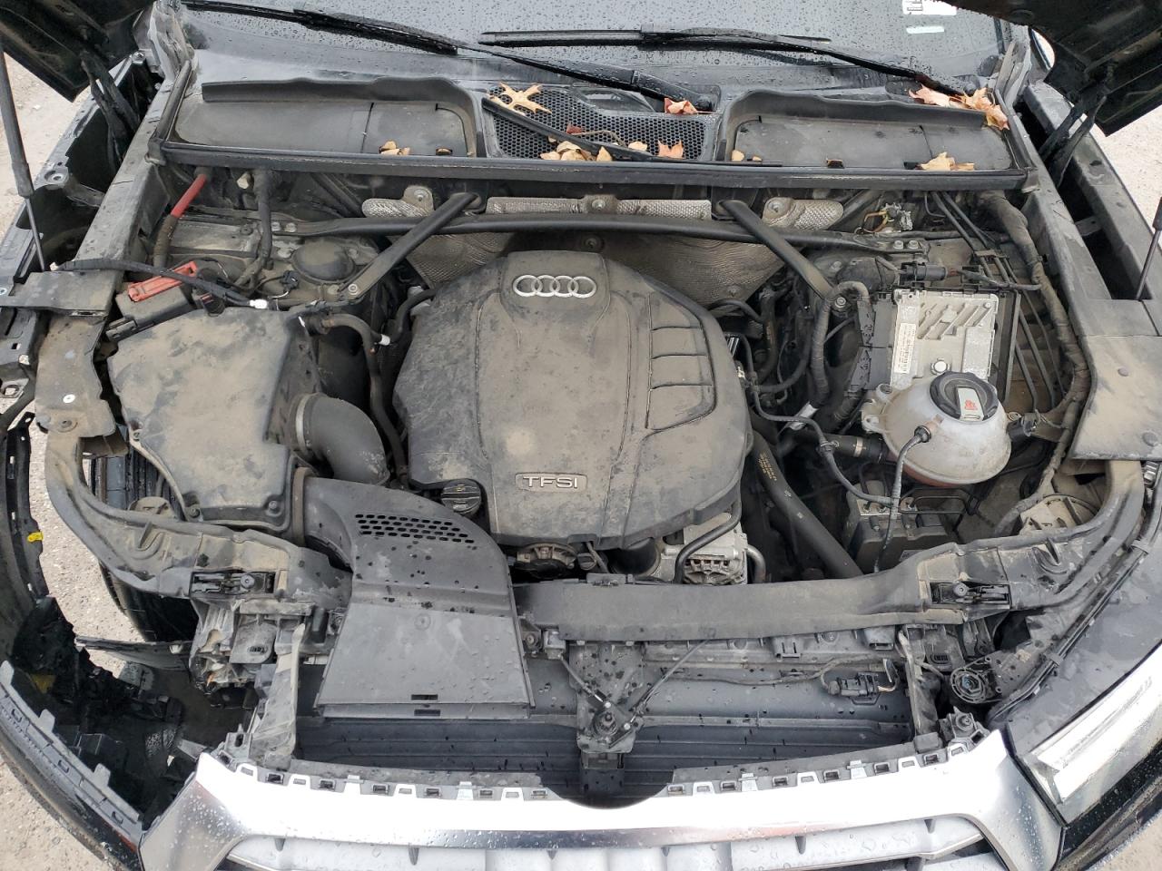 2019 Audi Q5 - Image 12