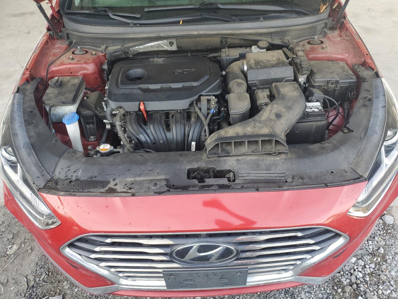 VIN 5NPE24AF6KH768565 2019 HYUNDAI SONATA no.11