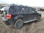 2008 Ford Escape Limited zu verkaufen in Cookstown, ON - Normal Wear