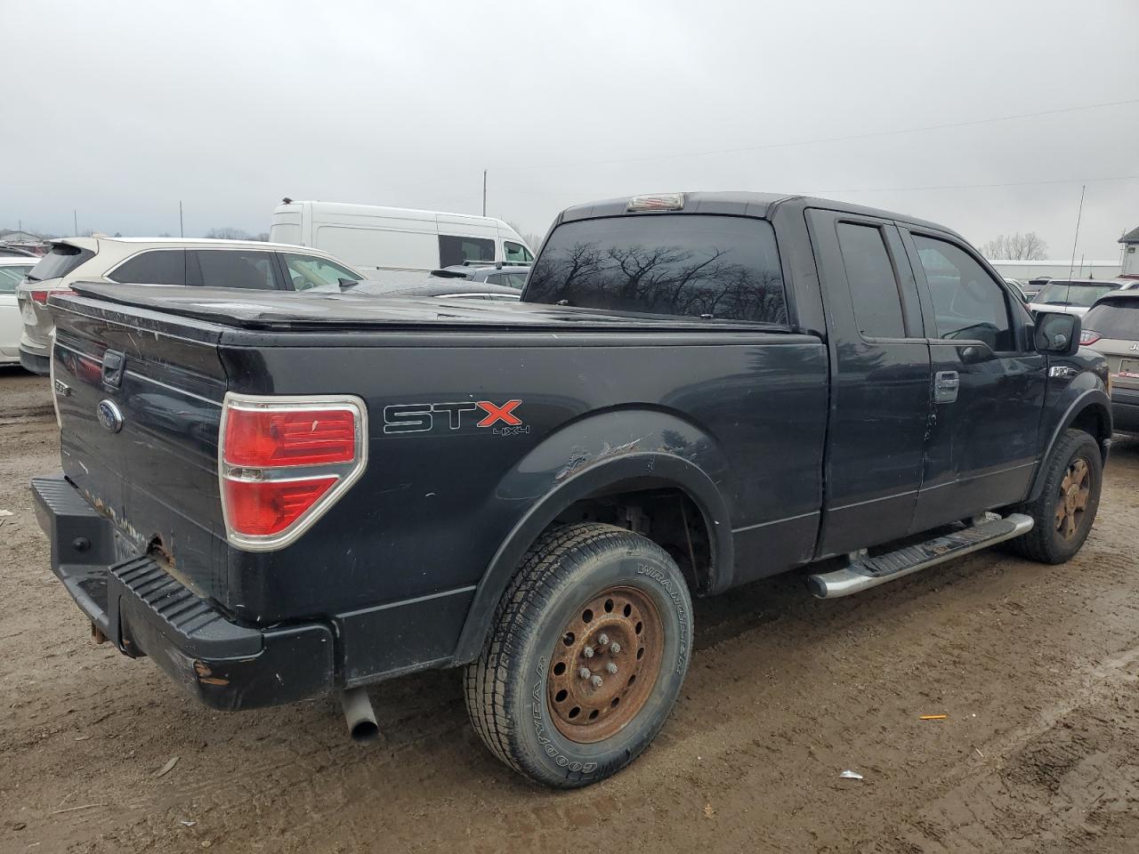 2010 Ford F-150 - Image 3
