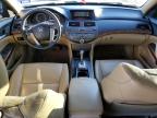 2011 Honda Accord Exl продається в Amarillo, TX - Side