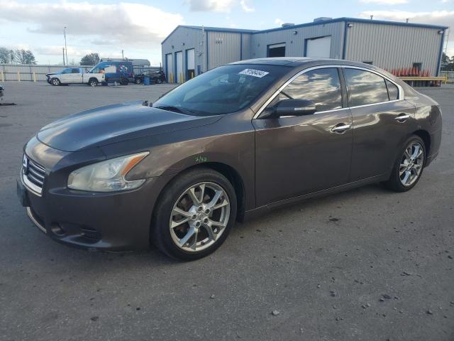  NISSAN MAXIMA 2012 tan