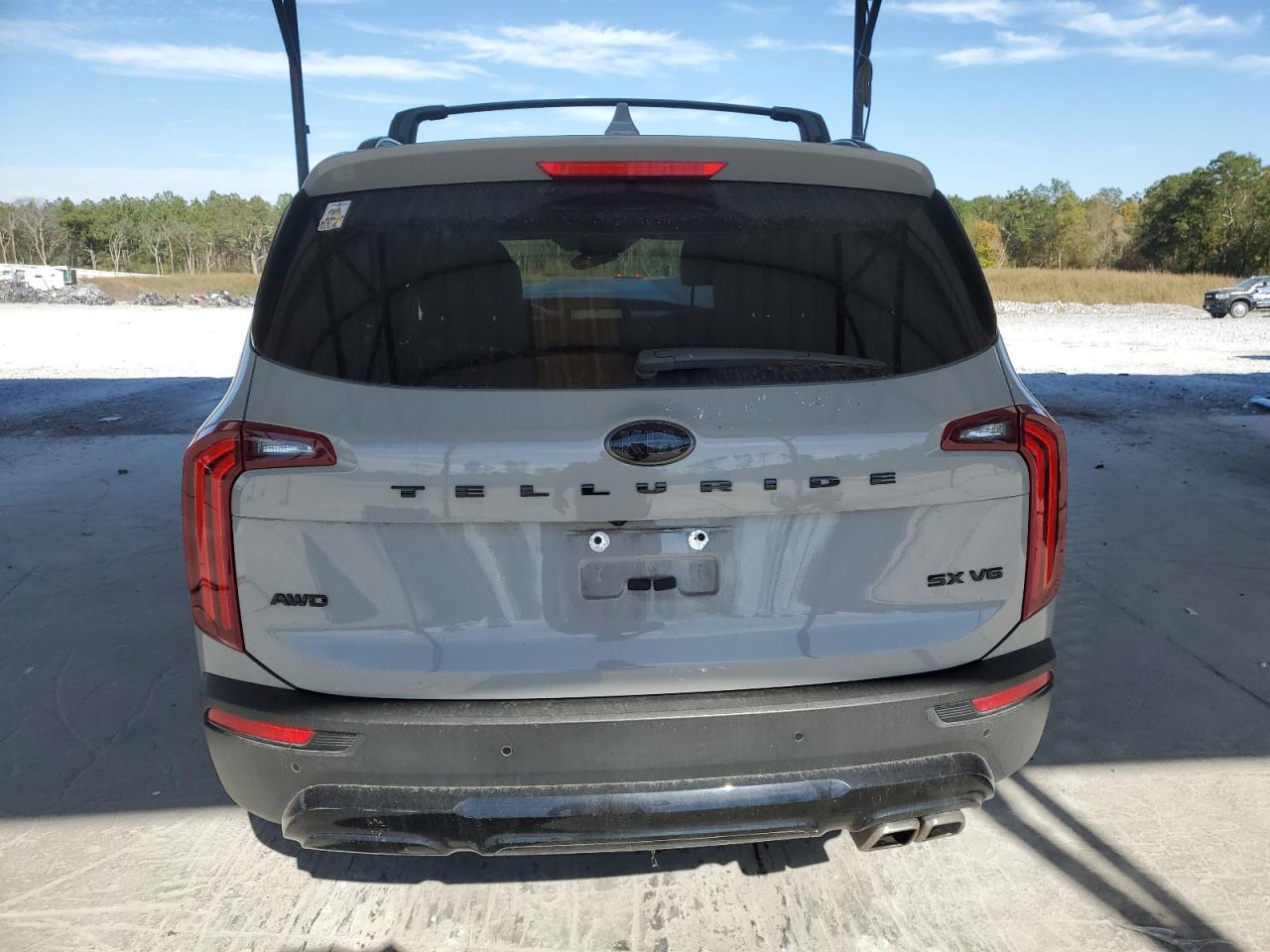 2021 Kia Telluride Sx VIN: 5XYP5DHC3MG166180 Lot: 80300914