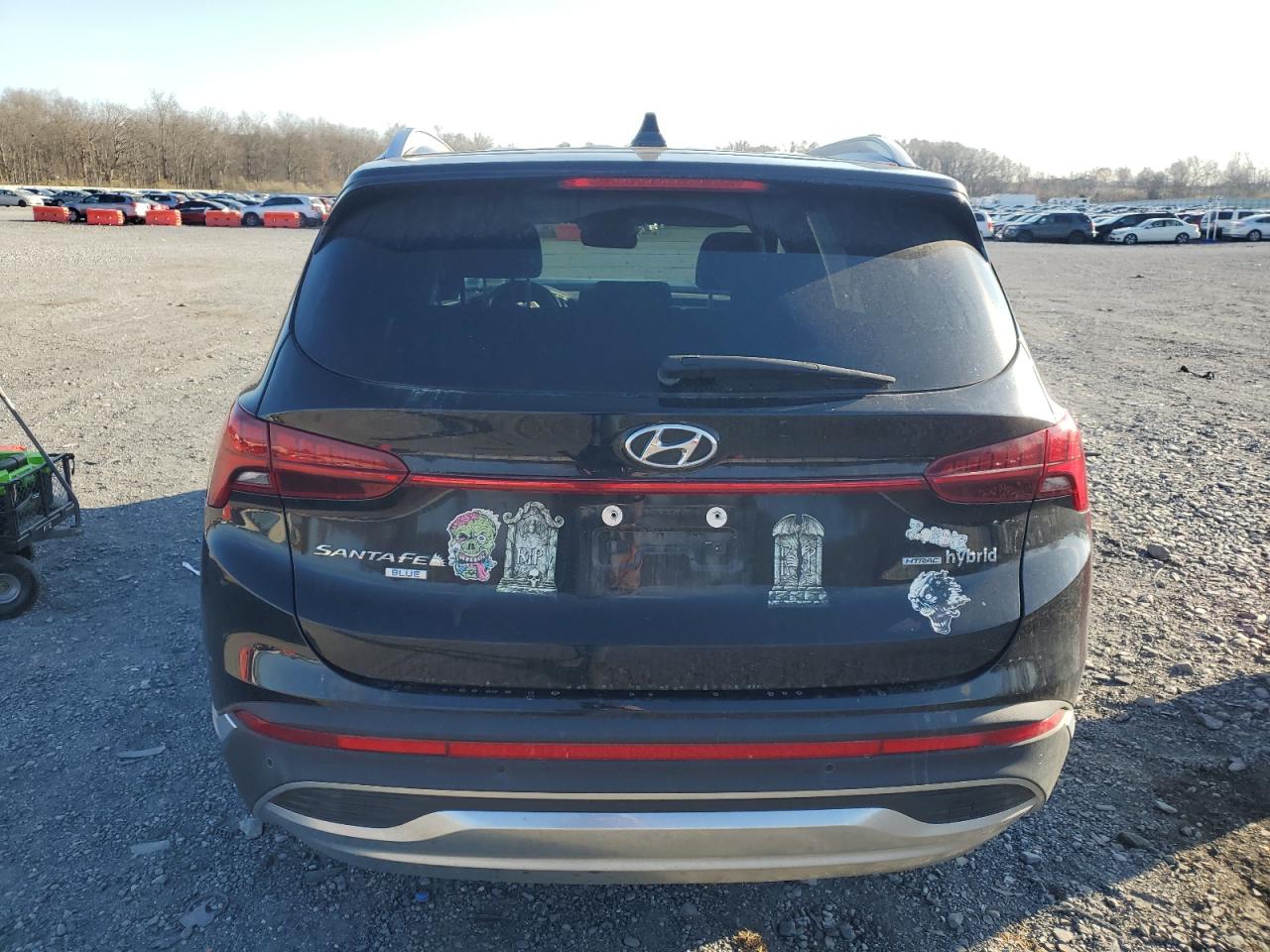 2021 Hyundai Santa Fe Blue VIN: KM8S2DA14MU006055 Lot: 81024404