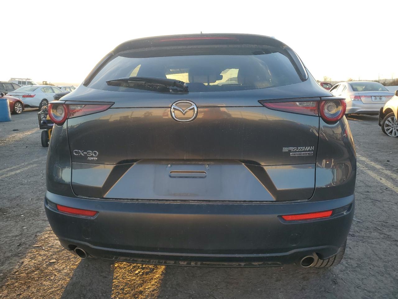 2020 Mazda Cx-30 Premium VIN: 3MVDMBEM4LM105010 Lot: 79890324