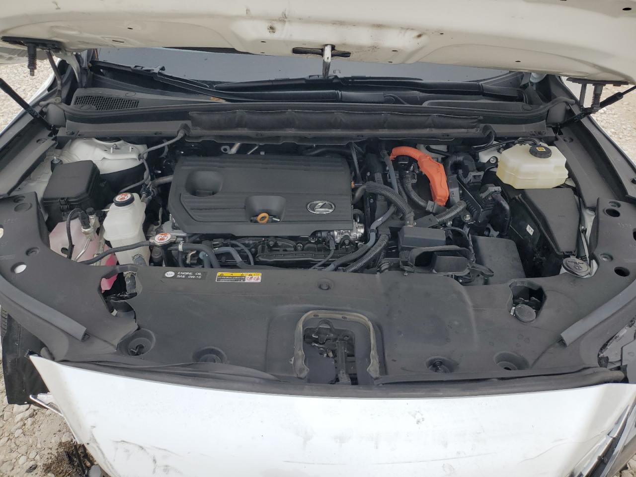 2024 Lexus RX - Image 12