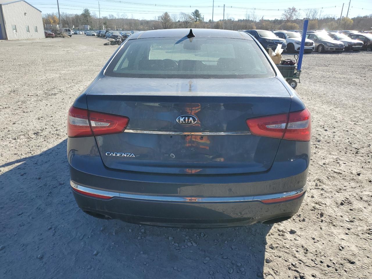 2014 Kia Cadenza Premium VIN: KNALN4D70E5123351 Lot: 79914424