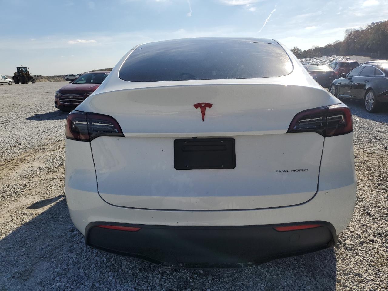 2023 Tesla Model Y VIN: 7SAYGDEE6PF782409 Lot: 81034674