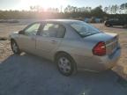 2005 Chevrolet Malibu Ls იყიდება Gaston-ში, SC - Front End