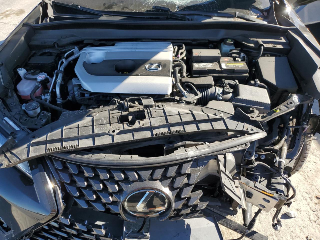 2020 Lexus UX - Image 11