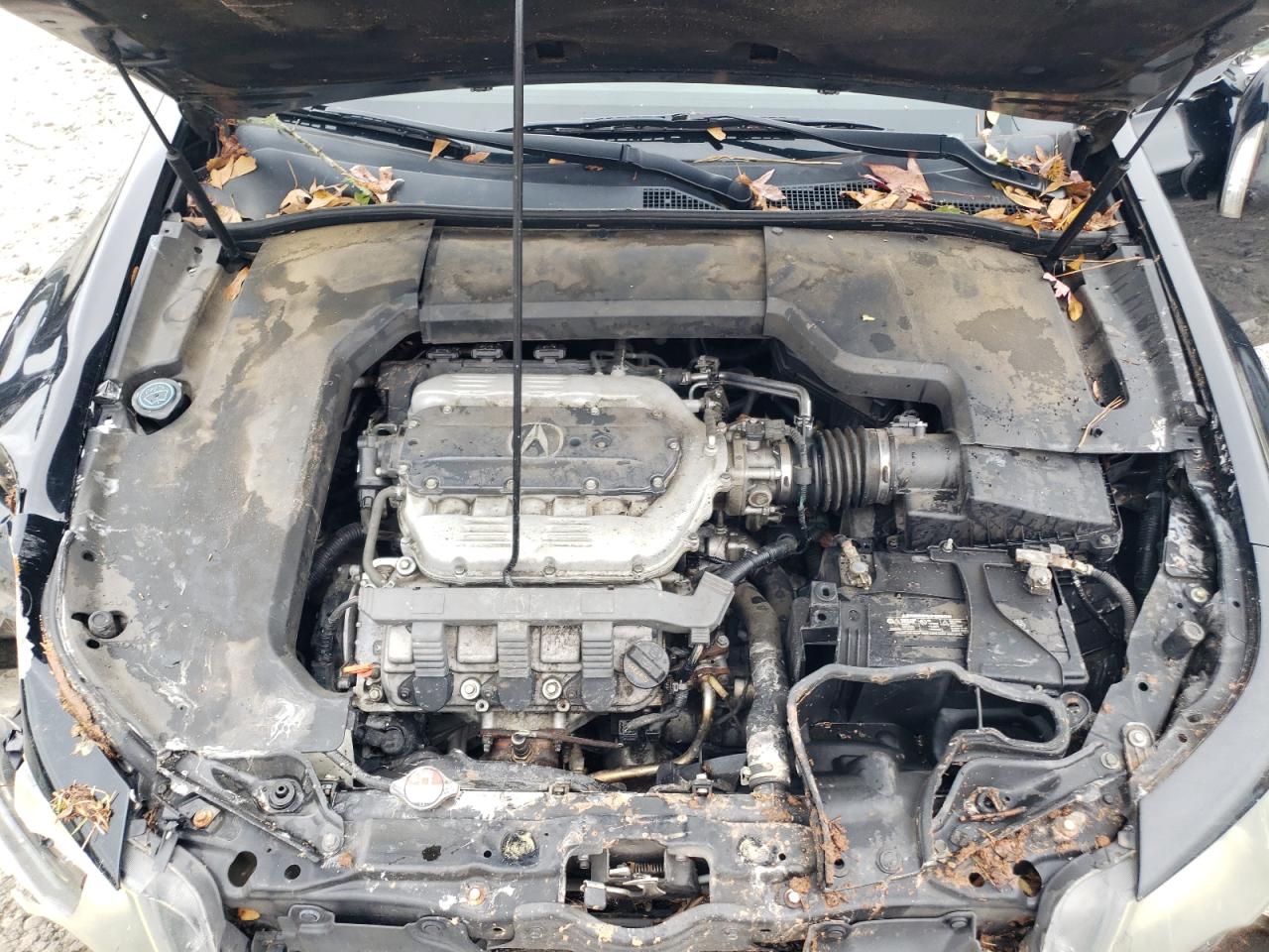 2013 Acura TL - Image 11