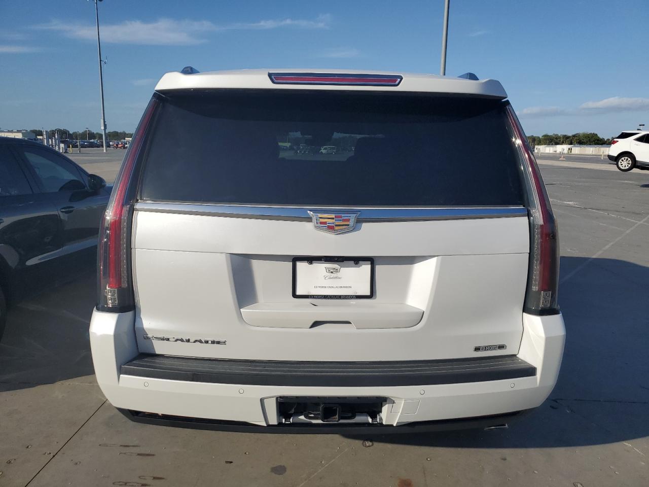 2020 Cadillac Escalade Platinum VIN: 1GYS3DKJ6LR232030 Lot: 79781614