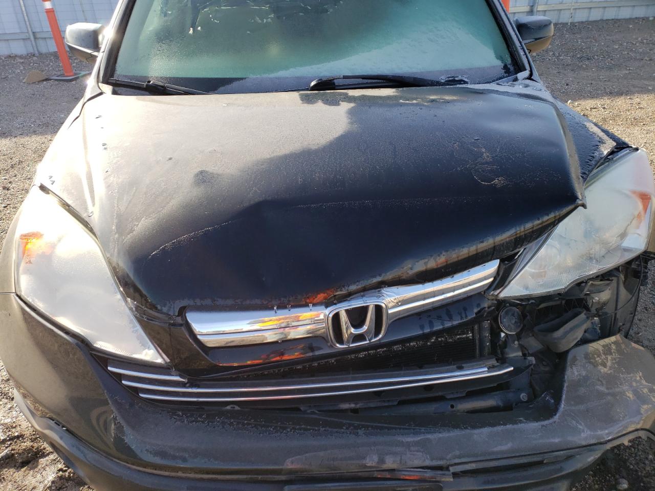 2009 Honda Cr-V Ex VIN: 5J6RE48599L059117 Lot: 81943634