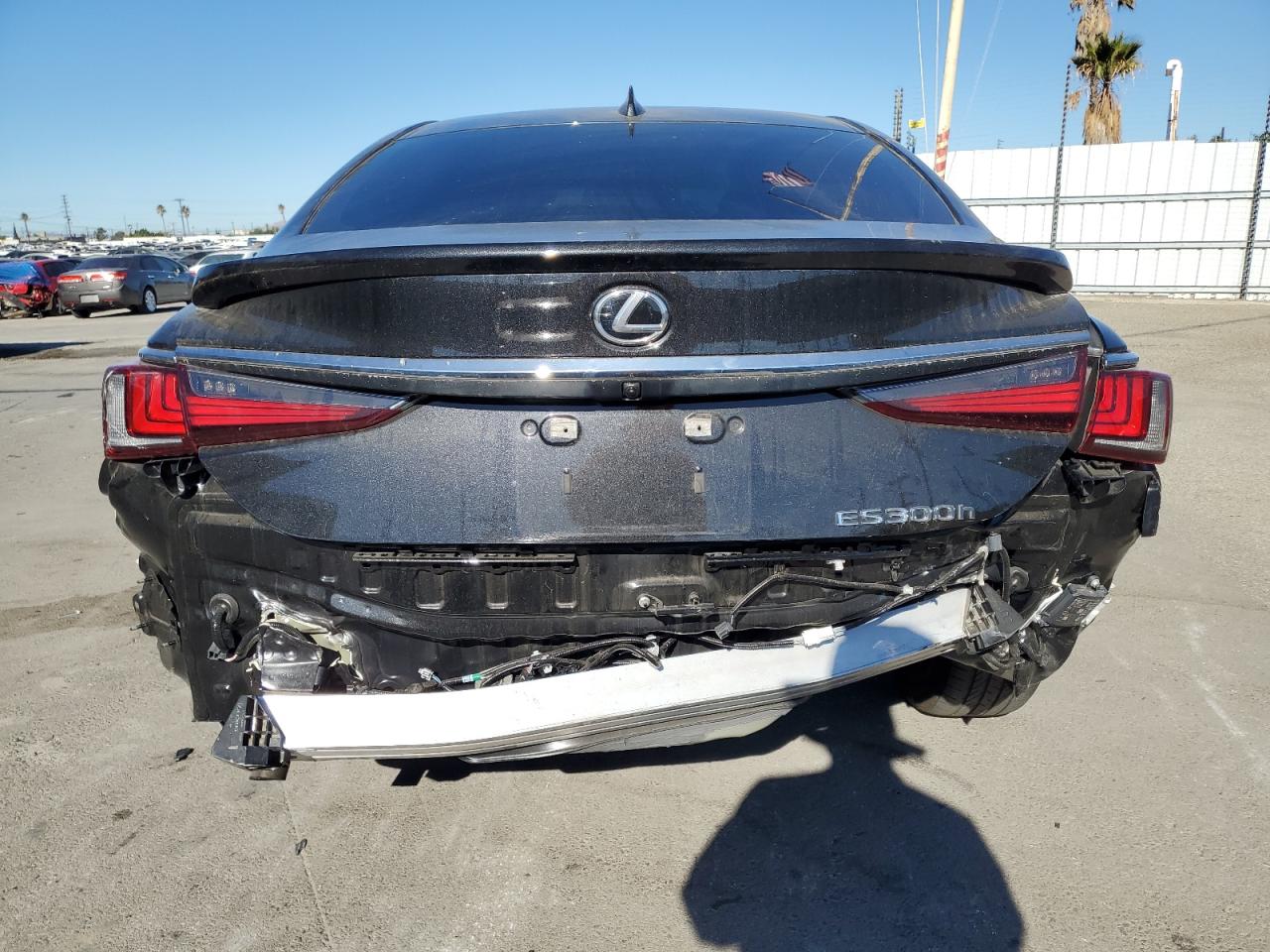 2024 Lexus ES - Image 6