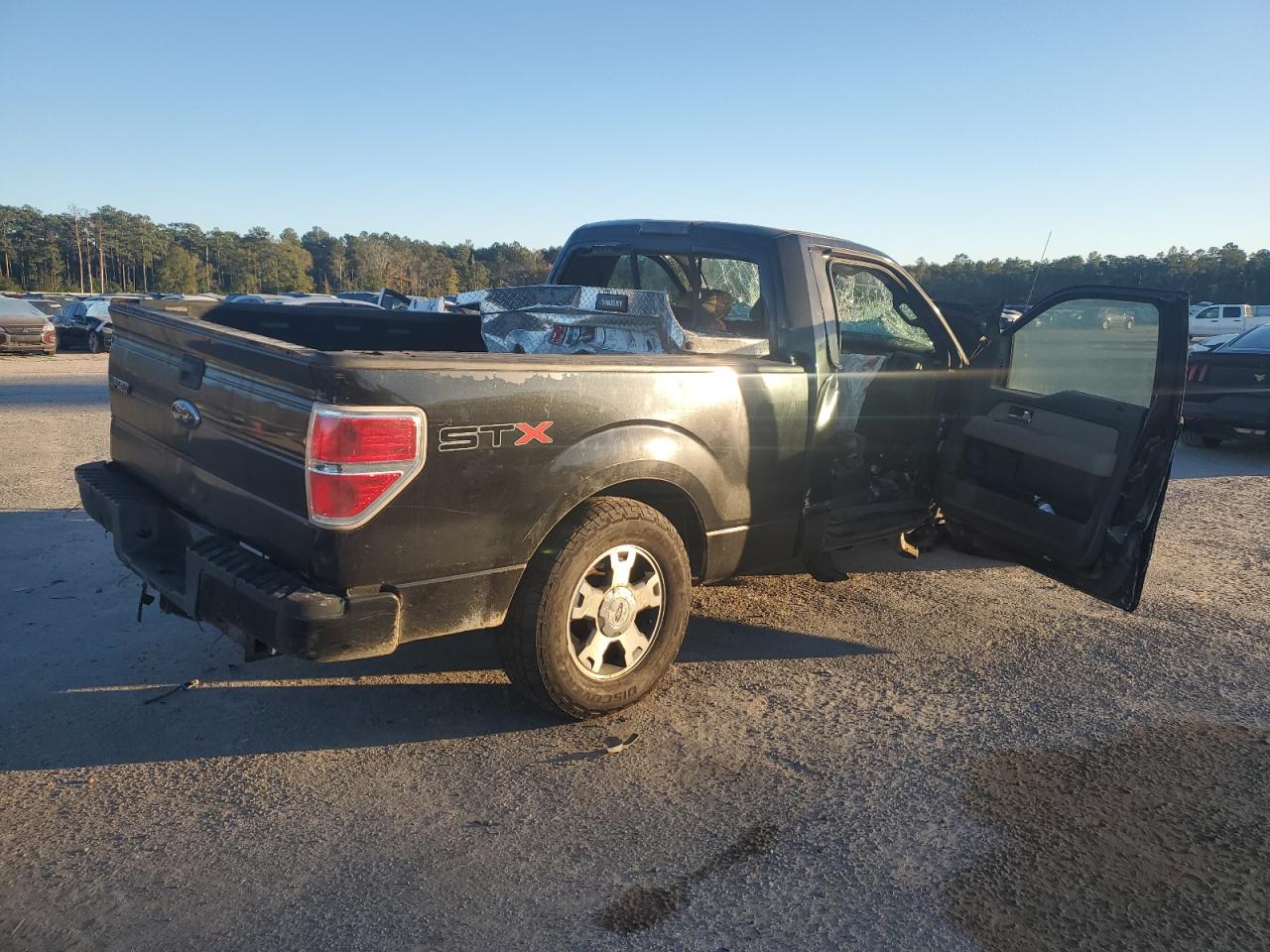 2010 Ford F-150 - Image 3
